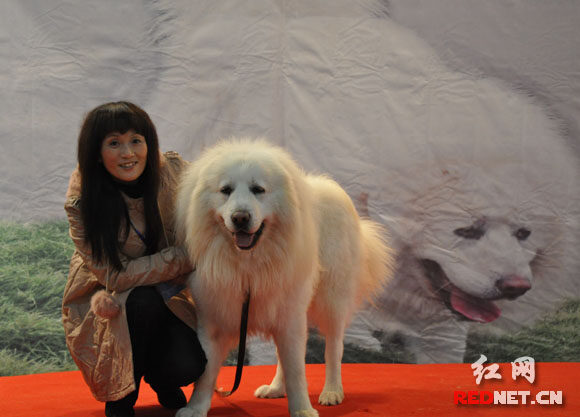 中外名犬大集結(jié) 2010長沙犬博會(huì)盛大揭幕